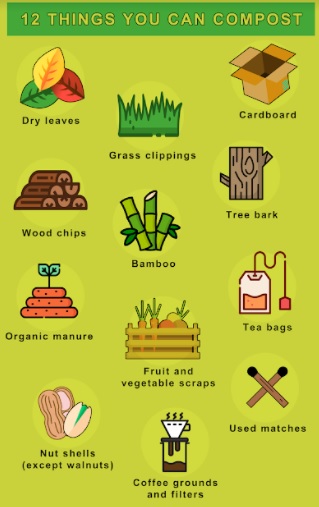 How To Start Composting in Your Back Garden