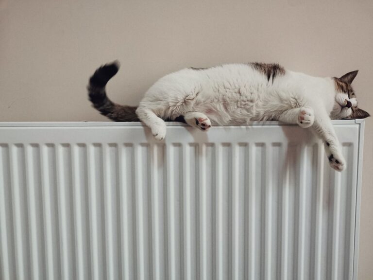 Ways To Keep Your Home Warm This Winter