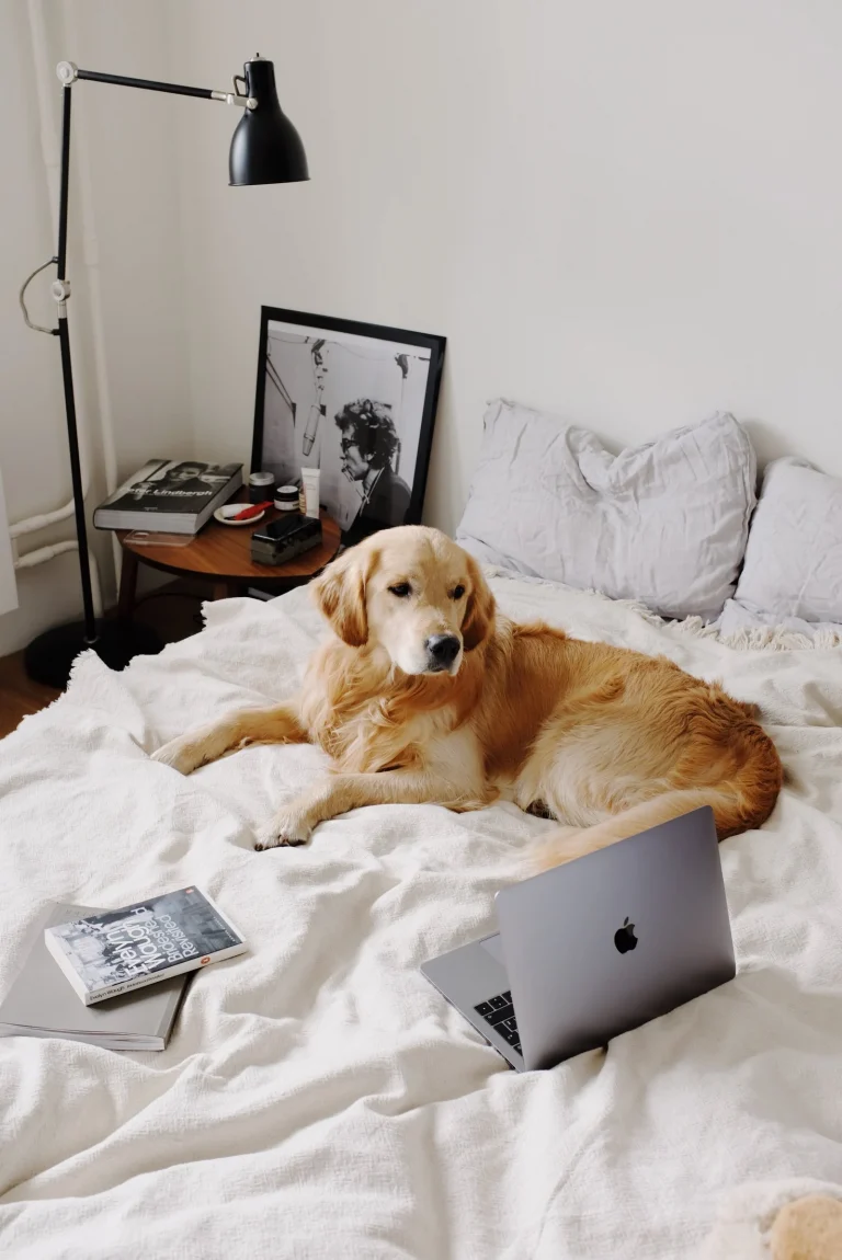 Improvements To Make Your Home More Accessible