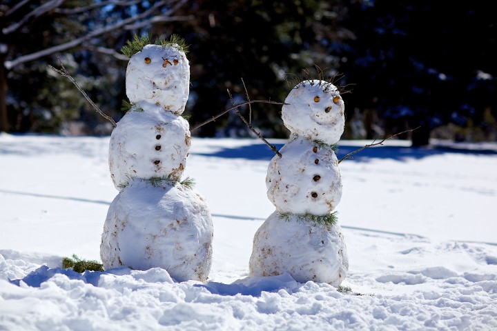 Winter Activities