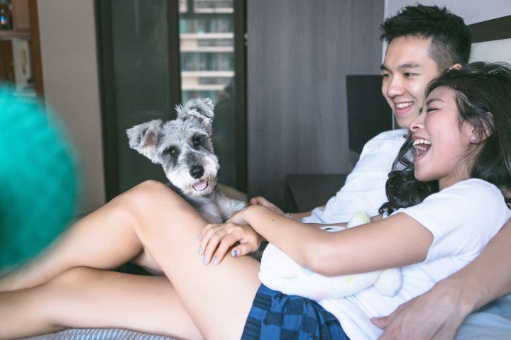 The Adventures of Life with a Dog: Is it Right for You?
