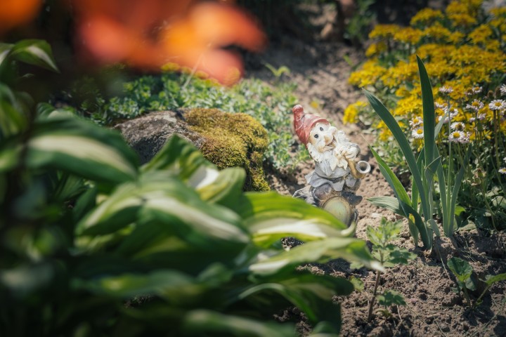 Wildlife Gardening Tips