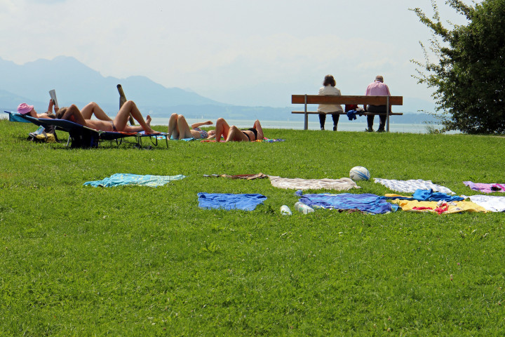 The Ultimate Guide to Planning a Fun and Safe Child-Friendly Picnic
