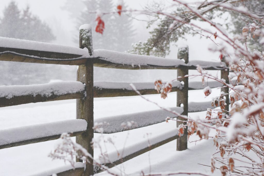 Expert Winter Garden Tips for a Stunning Landscape