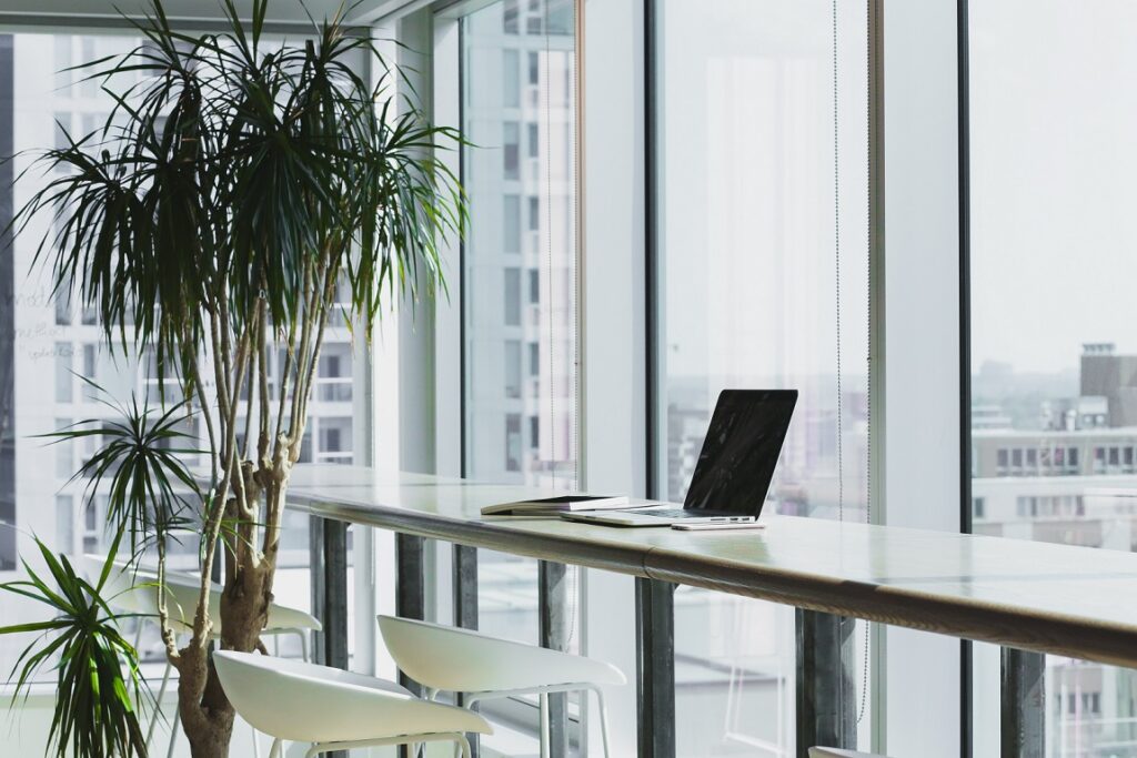 How Businesses Can Embrace Eco-Friendly Practices