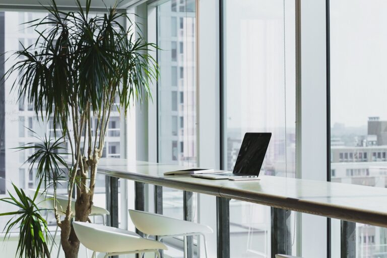 How Businesses Can Embrace Eco-Friendly Practices