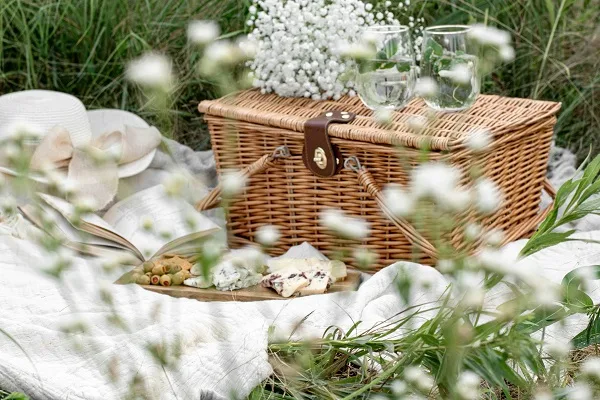The Ultimate Family Picnic Guide
